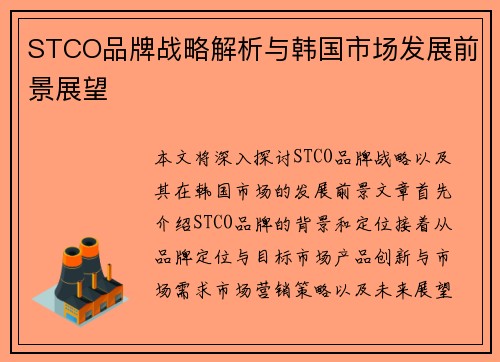 STCO品牌战略解析与韩国市场发展前景展望