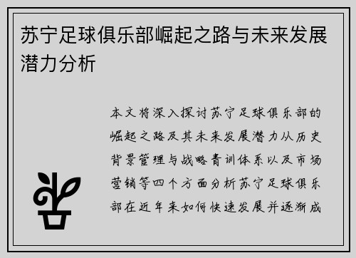 苏宁足球俱乐部崛起之路与未来发展潜力分析